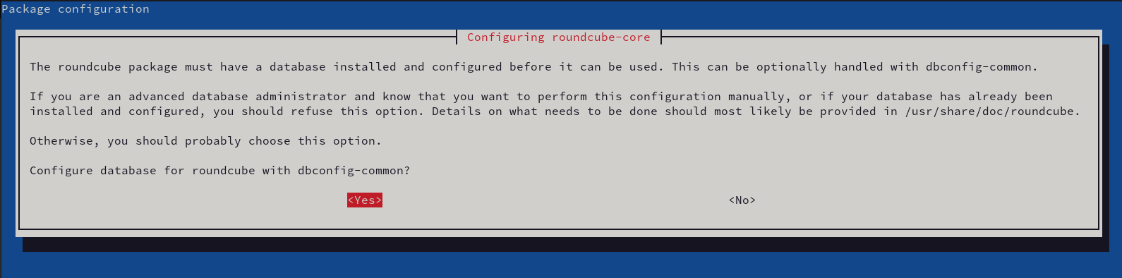 Processus d'installation des paquets Roundcube sur un système Debian demandant de configurer la base de données