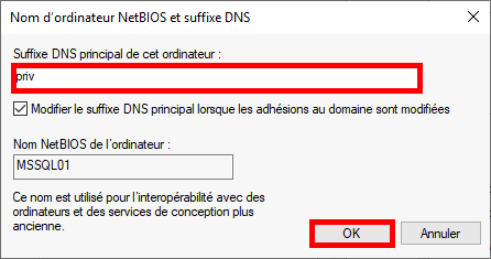 Windows | Nom d'ordinateur NetBIO et suffixe DNS.