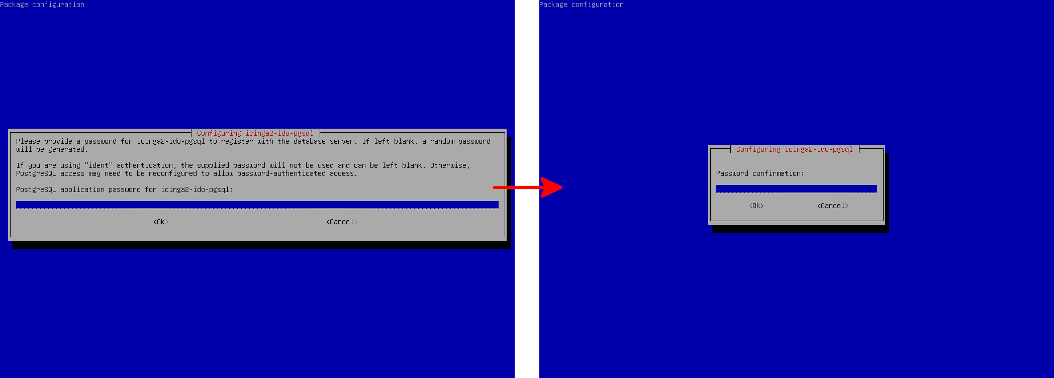 Debian installer prompting for the PostgreSQL application password and confirmation for icinga2-ido-pgsql.
