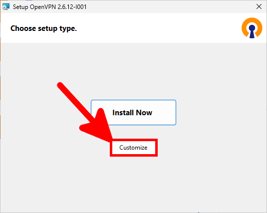 OpenVPN setup window displaying the Install Now and Customize options, with Customize highlighted
