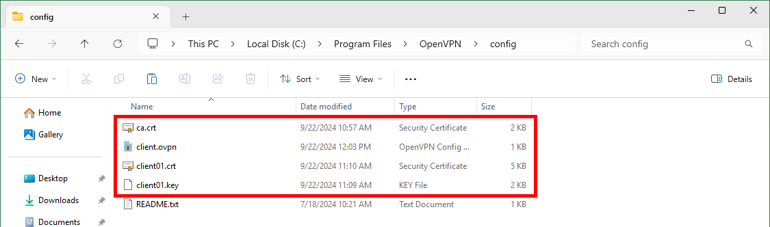 Windows File Explorer showing the OpenVPN config directory containing ca.crt, client.ovpn, client01.crt and client01.key