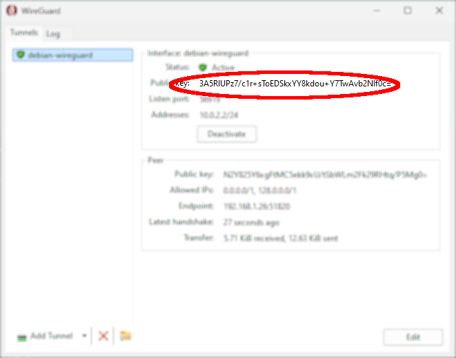 Active WireGuard tunnel on Windows showing public key and peer configuration details