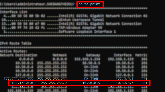 Windows | route print output